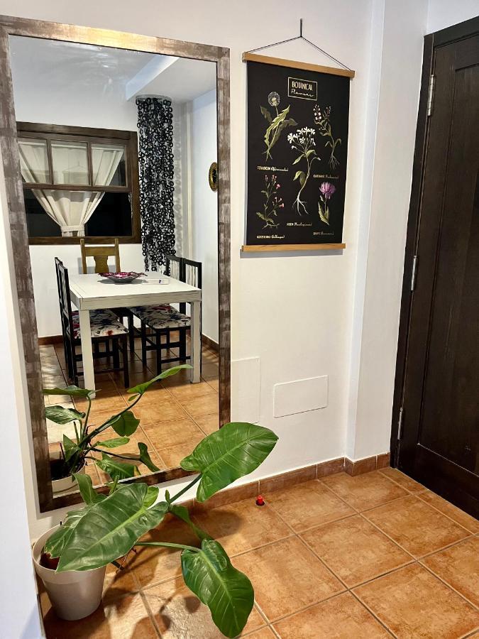 Casa Canleyy 로스 야노스 데 아리다네 외부 사진